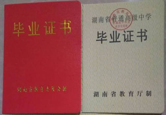 成功案例